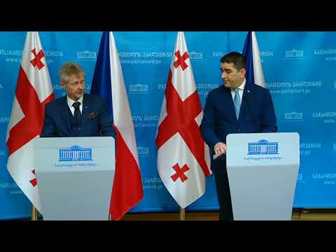 შალვა პაპუაშვილის და მილოშ ვისტრჩილის ერთობლივი განცხადება